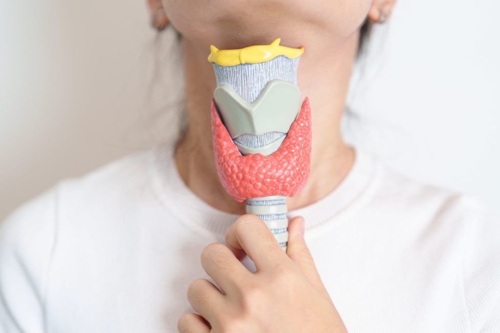 Hashimoto alimentation