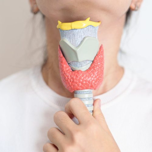 Hashimoto alimentation